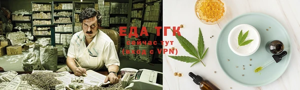 ECSTASY Ельня