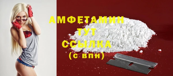 ECSTASY Ельня