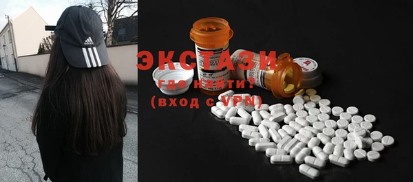 ECSTASY Ельня