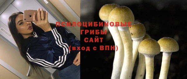 ECSTASY Ельня