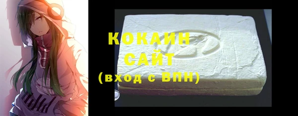 ECSTASY Ельня