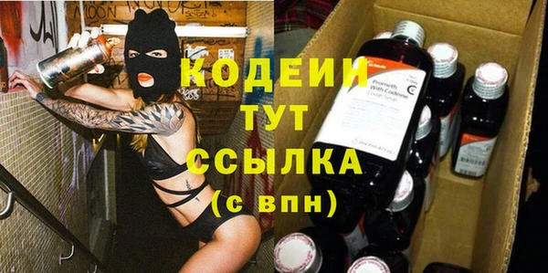 ECSTASY Ельня