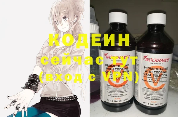 ECSTASY Ельня