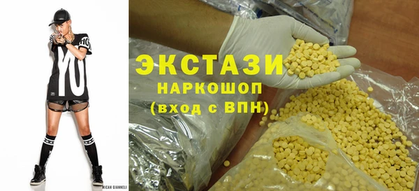 ECSTASY Ельня