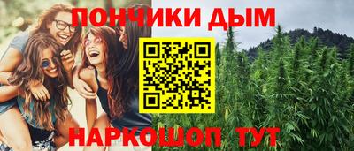 шишки Гагарин