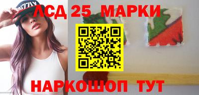 амфетамин Гатчина