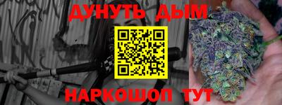 шишки Гагарин