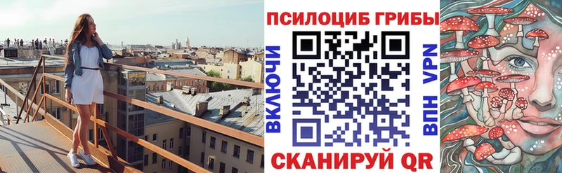 где продают наркотики  Зеленокумск  Псилоцибиновые грибы прущие грибы 