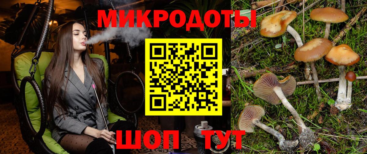 Псилоцибиновые грибы Psilocybine cubensis  Вход с VPN  Зеленокумск 