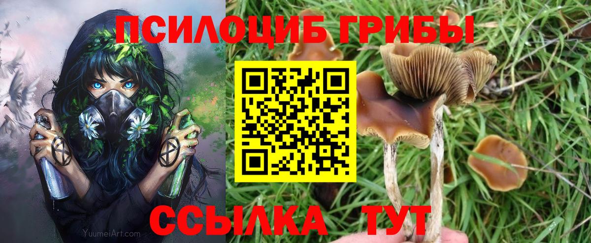 Псилоцибиновые грибы мицелий Зеленокумск